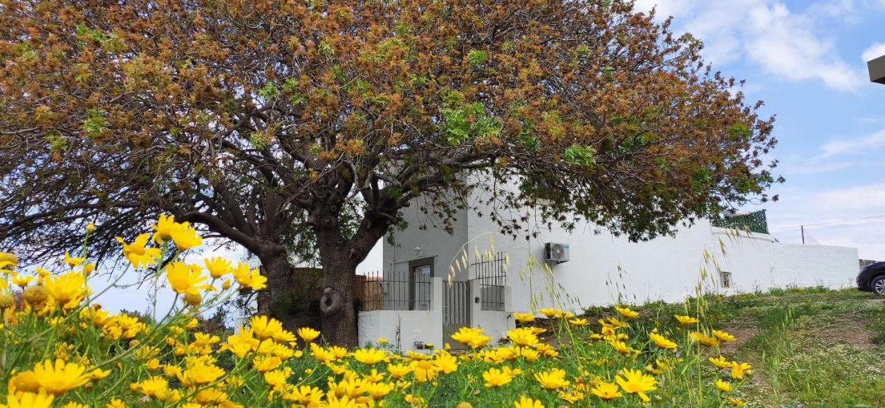 Traditional Suburbs Maisonette Cós Exterior foto